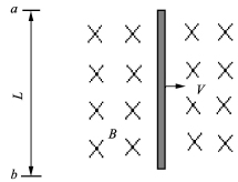 1688960194387991.jpg z237.jpg